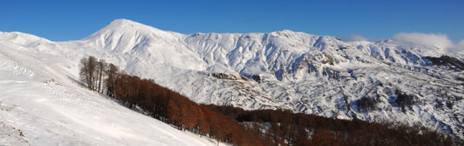 grammos2.jpg